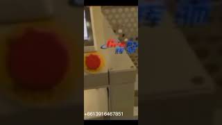 Automatic carton erector