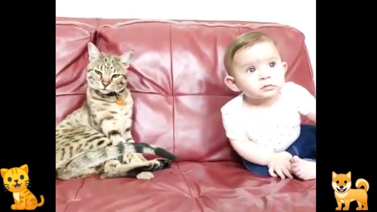Download Tik Tok Baby Funny Video Download PNG