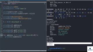 Python for Hackers  Master Pwntools Basics for Exploit Development