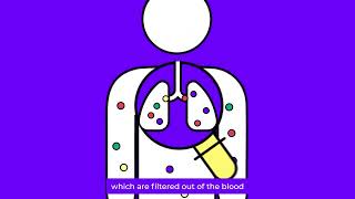 What Is A Breath Test, And How Does It Work?