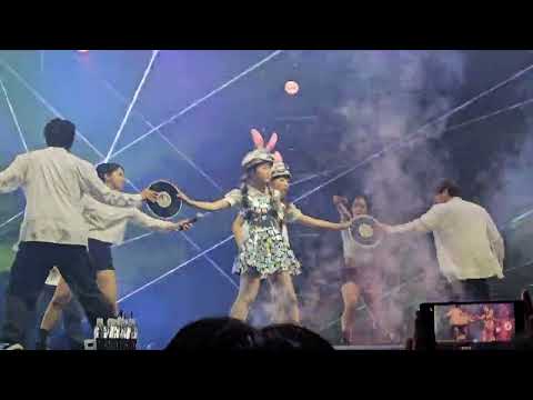 쇼킹나이트 서울콘서트 - 하이큐티(콩가) 폴드5 8K
