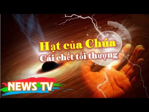 Video: Từ câu chuyện của một người chạy