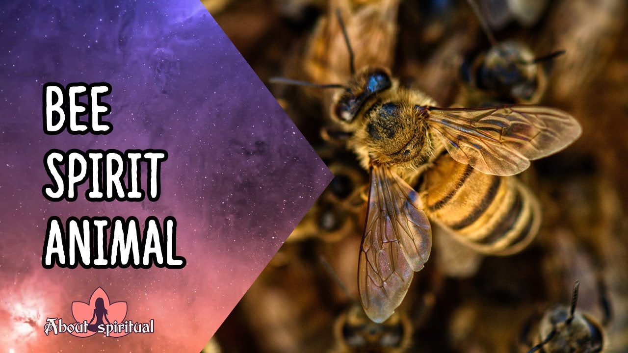 Bee Symbolism & Spiritual Meanings Of A Bee Spirit Animal | YourTango