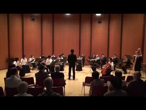 Antonio Carlos Jobim - Wave (MIZUMO Flute Ensemble)