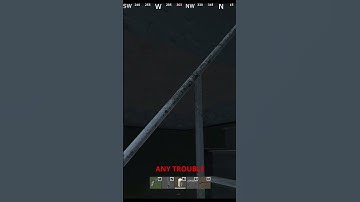 My First Interaction In DayZ