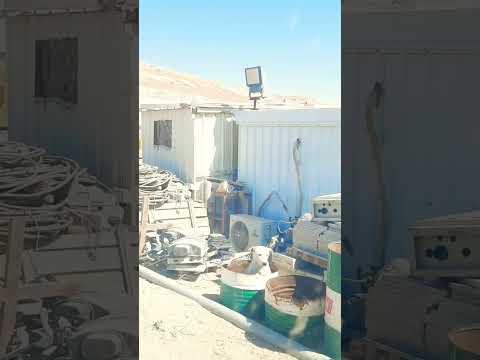 الرحمة بالحيوان في الإسلام احاديث نبويه حديث الكلب يلهث