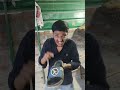 Ola ola vala sugh😉😄#comedy #shortvideo #ytshorts #funny #funnyshorts #ytshorts