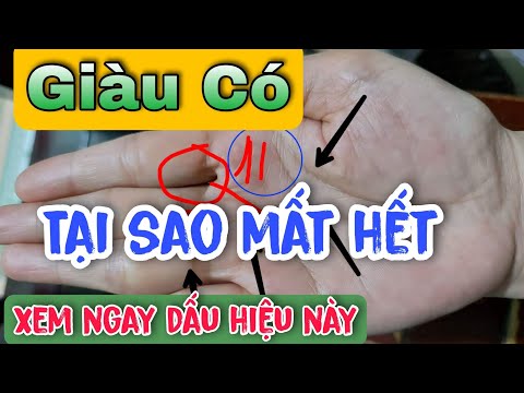 Video Sự Nghiệp Tiêu Tán bởi Đường Chỉ Tay Này | Có Chỉ Tay... - youtube
