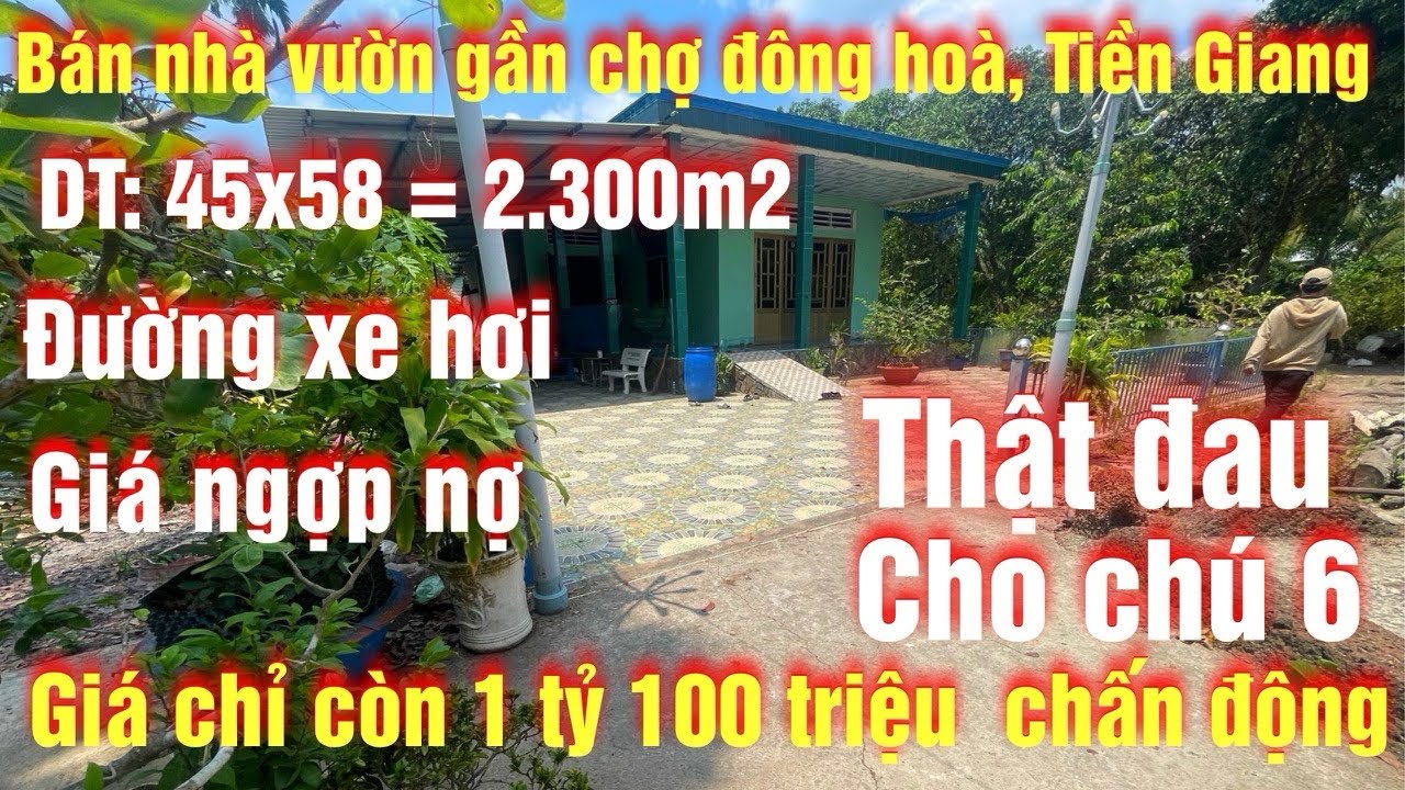 Tập 341 cần bán căn nhà vườn  diện tích 2,300m2 giá 1 tỷ 100 triệu gần chợ đông hoà tiền giang