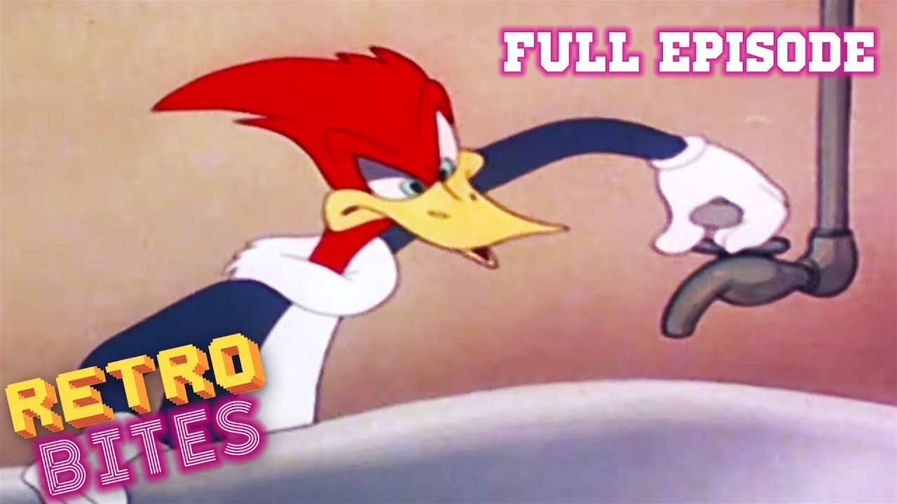 Woody Woodpecker | Bathing Buddies | Old Cartoons | Woody Woodpecker Full  Episodes - YouTube