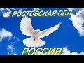 Голуби 💥Уч. Анчик. С. И. 💥Ермоленко. С. Ю. 💥 Минин. С. В. 💥 7.10.2023. 🎥🕊️🇷🇺