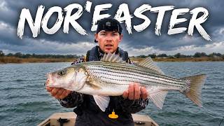 STRIPED BASS Fishing During NOR'EASTER FLOOD TIDES! EPIC Topwater Fishing!