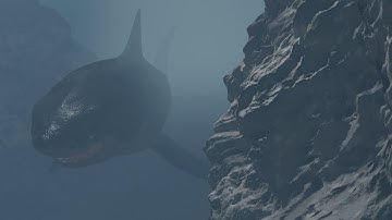 Animated Great White Shark 3D Model | PROmax3D