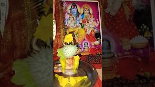viral video #sortsfeed #💐❤🦚✨🪔🌿