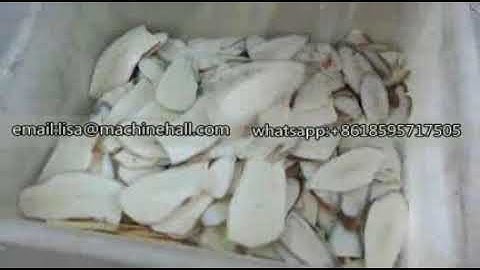 Industrial Cassava Slicing Cutting Machine Testing Video