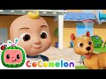 🐾 A New Puppy Friend! JJ &amp; B.I.N.G.O Sing and Play | CoComelon | Songs for Kids | Healthy Habits