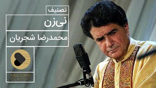 Mohammadreza Shajarian  Neyzan (محمدرضا شجریان  تصنیف نی زن)