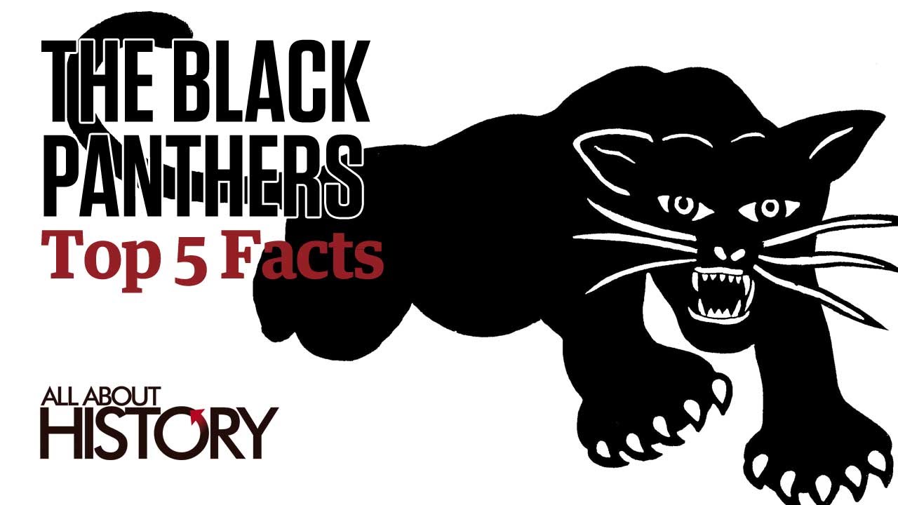 The Black Panthers Top 5 Facts YouTube