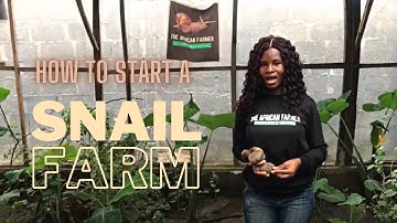 Simple Method to start a Snail Farm - Snail Farming Goldmine