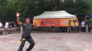 香港功夫表演20180826凂飛詠春6