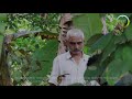 Hindumane | Generations of innovative agriculture | Rajendra H | ಹಿಂಡುಮನೆ - ಕೃಷಿಯ ಮೂರು ತಲೆಮಾರು