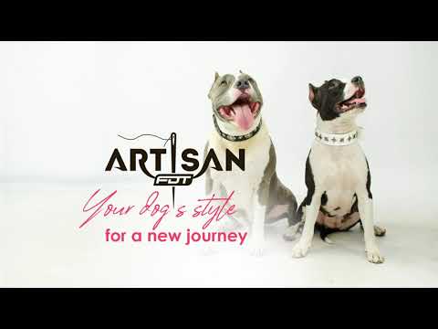your-dog