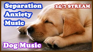 Deep Separation Anxiety Music for dog Relaxation! 24/7Sleep Music | DOG MUSIC