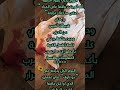 ديرتي ديرتي الخربة Shorts ديرتي ديرتي الخربة Shorts