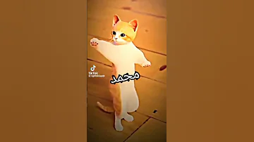 انا احب محمد محمد 