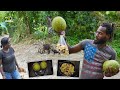 Living The Country Life - Breadfruit & Ackee Pick And Cook