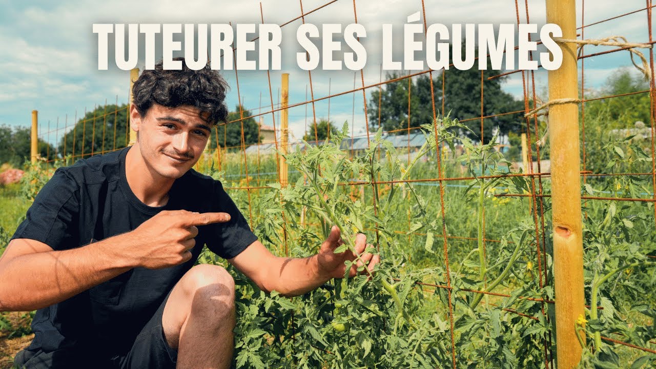LE TUTEURAGE AU POTAGER : Mes conseils pratiques