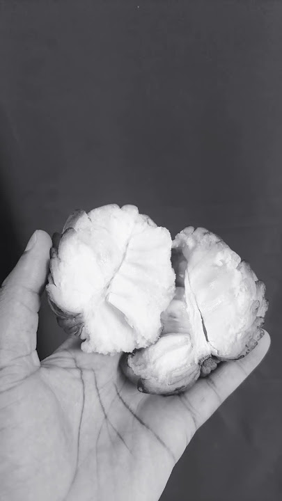 The inside of the Fruit