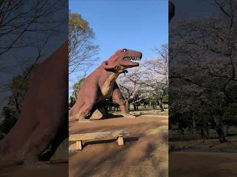 2025-04-05 | 八坂公園的四隻恐龍 | 日本茨城縣坂東市