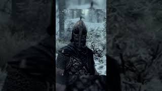 COPS: Skyrim