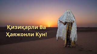 Қизиқарли Ва Ҳаяжонли Кун
