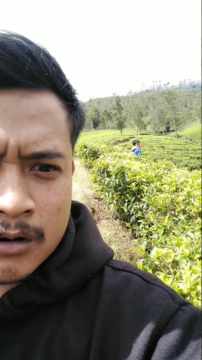 JANGAN MESUM DI KEBUN TEH...#shorts #kebunteh #puncakbogor #puncakkomedi
