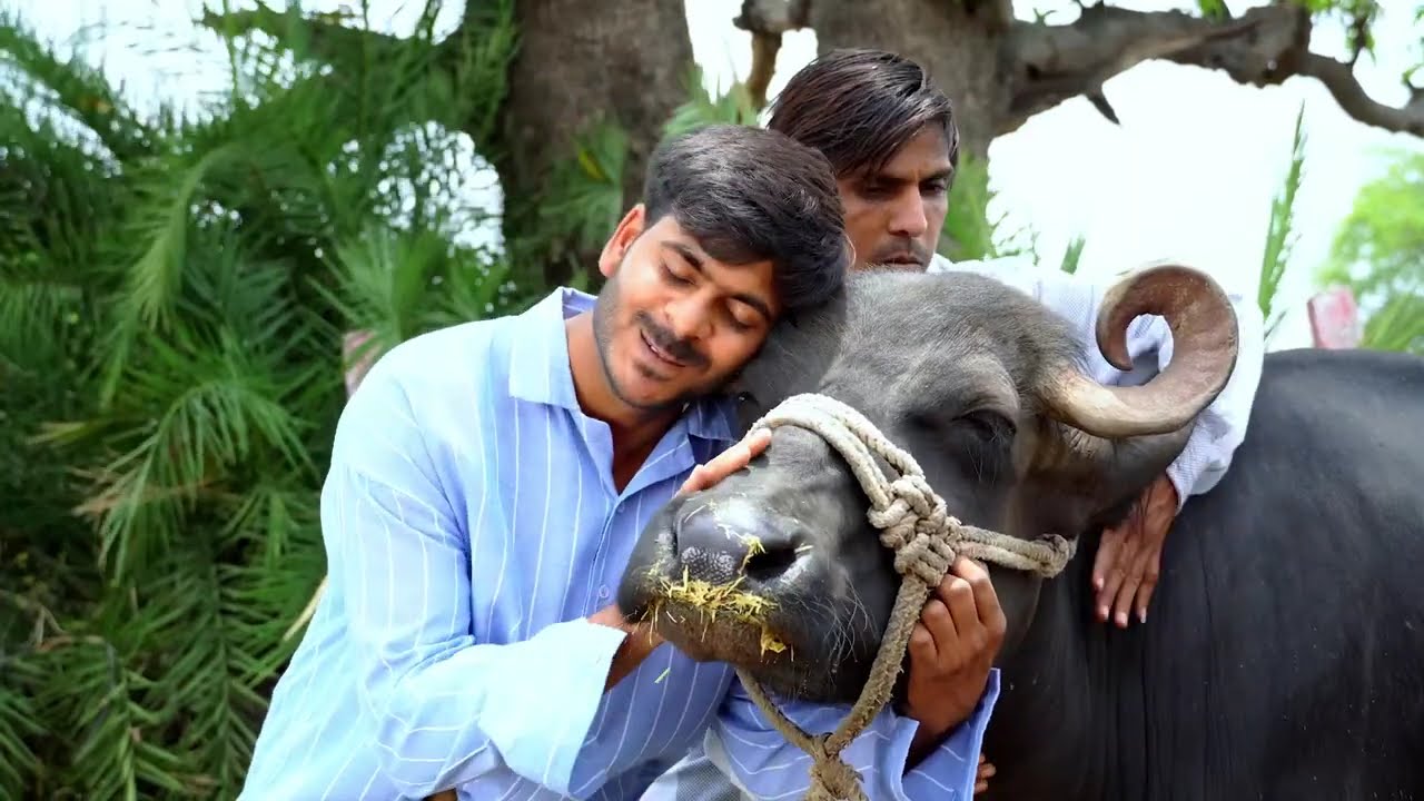 Upcoming Singer | Dharmendra Bilotia