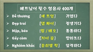 베트남어 필수 형용사 400개 | 400 Tính từ tiếng Việt thực tế | 맛있는 베트남어