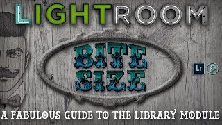 Understanding the Adobe Lightroom Library Module (Classic) Bite size