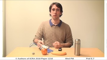 Coordination of Intrinsic and Extrinsic Degrees of Freedom in Soft Robotic Grasping