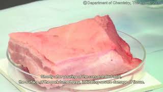 eLabSafety Part7 04 720p v170908