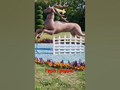 герб Гродно - YouTube