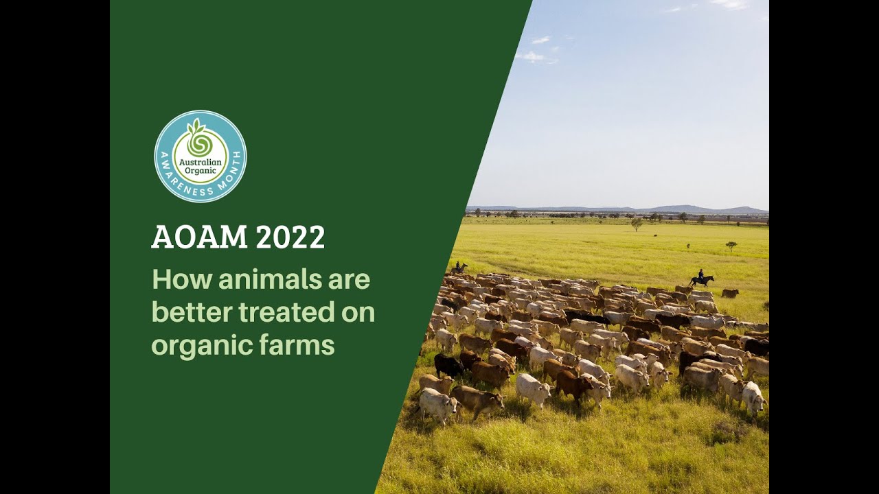 How animals are better treated on organic farms | Australian Organic