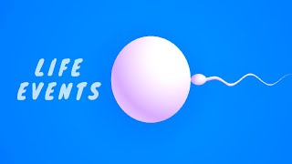 Life Events in English: Learn Vocabulary & Grammar Easily!