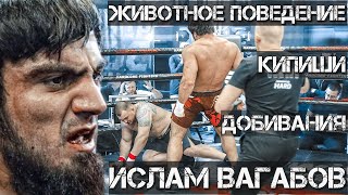 Ислам Вагабов / Животное поведение на Hardcore/ Конфликт