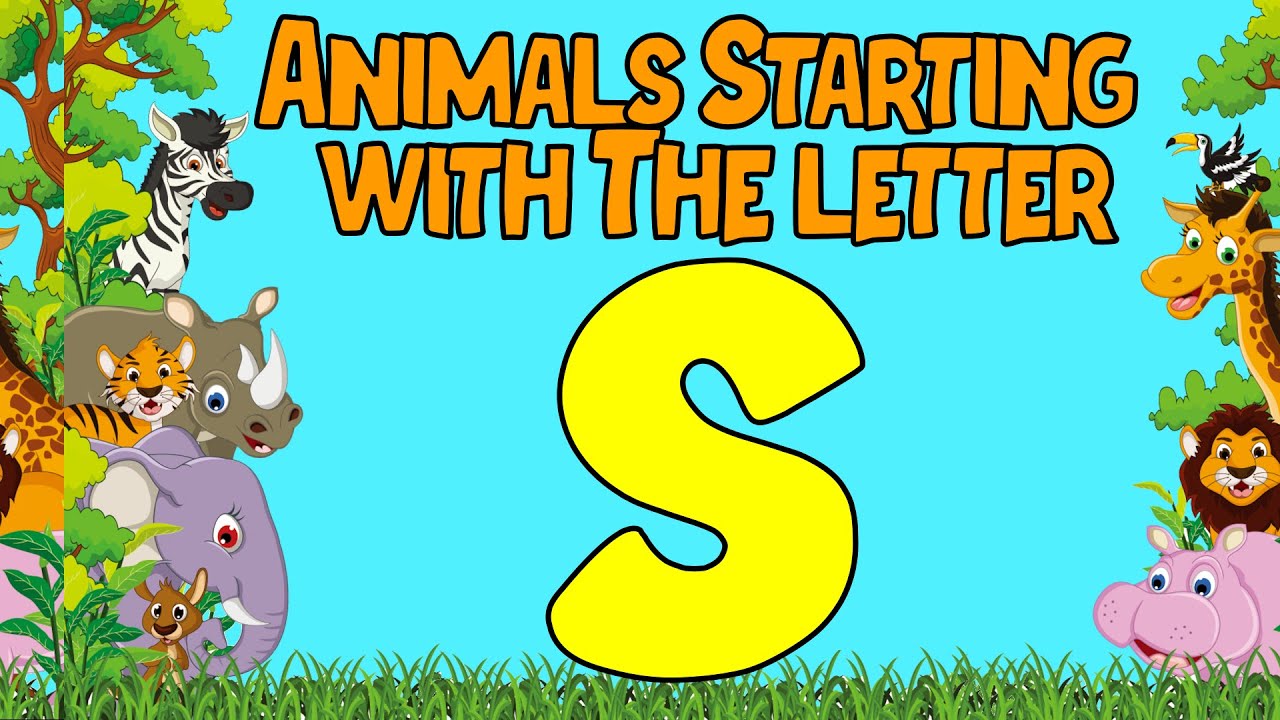 animals-starting-with-s-kids-learn-english-vocabulary-youtube