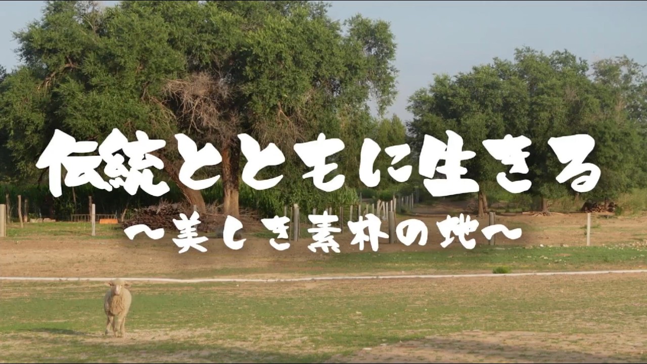 『中国内モンゴル  伝統とともに生きる  ～美しき素朴の地～』武井 明【令和7年度しずおかショートフィルムコンテスト コンペティション部門 竹千代賞】