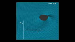 Q4 surface plot