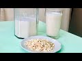 როგორ მოვამზადოთ შვრიის რძე • How to make oat milk