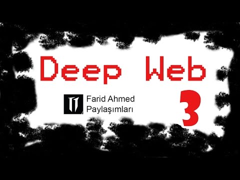 Deep Web  |  Giriş Seviyeleri ve Gizlilikler ^ 3